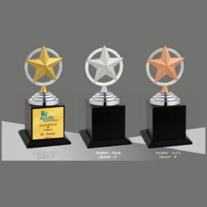 Trophy - 747