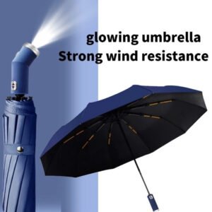 UMBRELLA 1